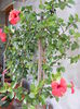 DSCF0785