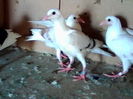 IMG_20140629_173229