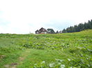 P1550593