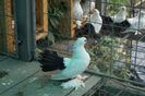 DSC08635 (2)