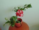 DSC02555