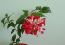 DSC02560