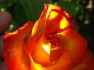 086