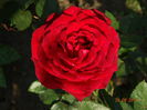 DSC05501
