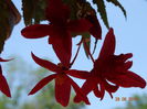 DSC05584