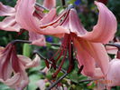 DSC05509