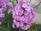 DSCN3209