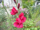 DSCN3213