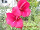 DSCN3214