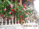DSCN3208