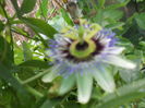 DSCN6510