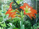 DSCN6511