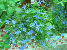 DSCN6512