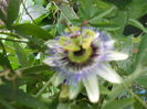 DSCN6509