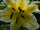 DSCN9549