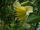 DSCN9550