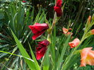 DSCN9553
