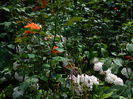 DSCN9556