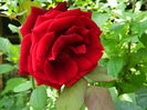 DSCN9559