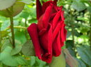DSCN9561