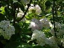 DSCN9576