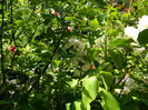 DSCN9578