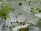 DSCN9590