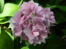 DSCN9591