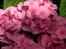 DSCN9607
