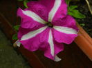 DSCN9609