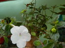 DSCN9614