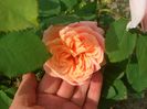 CIMG0042