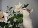 DSCF1345