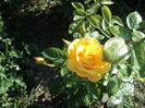 DSC04749