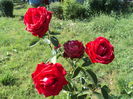DSC04690