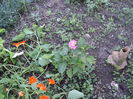 DSC04680