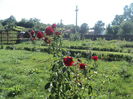 DSC04694