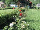 DSC04700