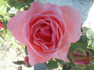 DSC00049