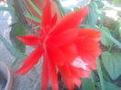 DSC00428