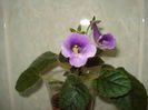 DSC08801