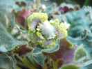 P1100960