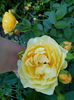IMG_20140623_120525