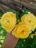 IMG_20140627_175024