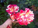 IMG_20140626_205452