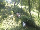 Imag 011070