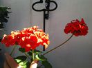 20140702_094355