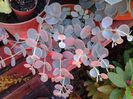 20140702_094449