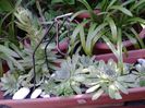 20140702_093900