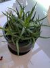 20140702_094917